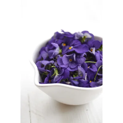 purple violets in white ceramic bowl